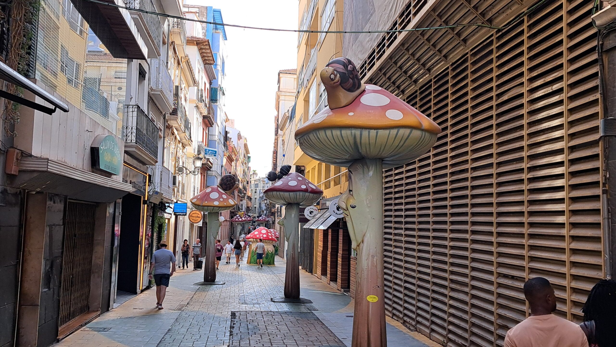 Paddenstoelen straat Alicante