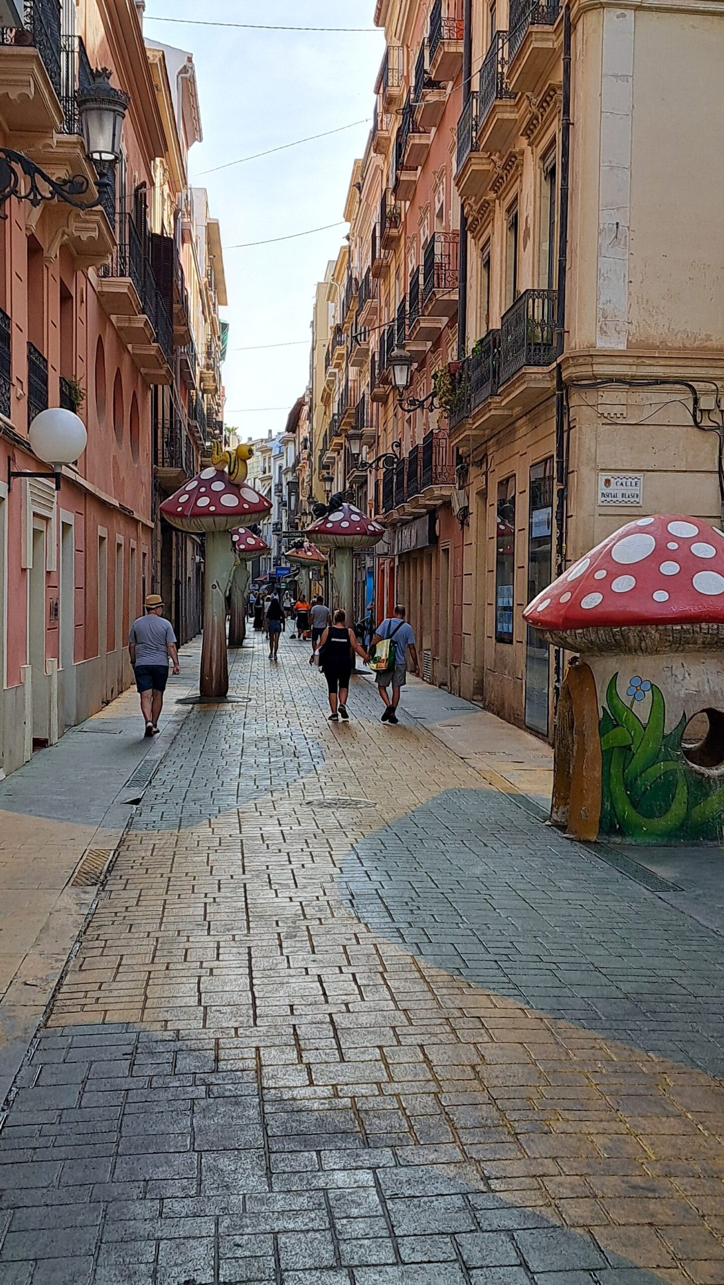 Paddenstoelenstraat Alicante