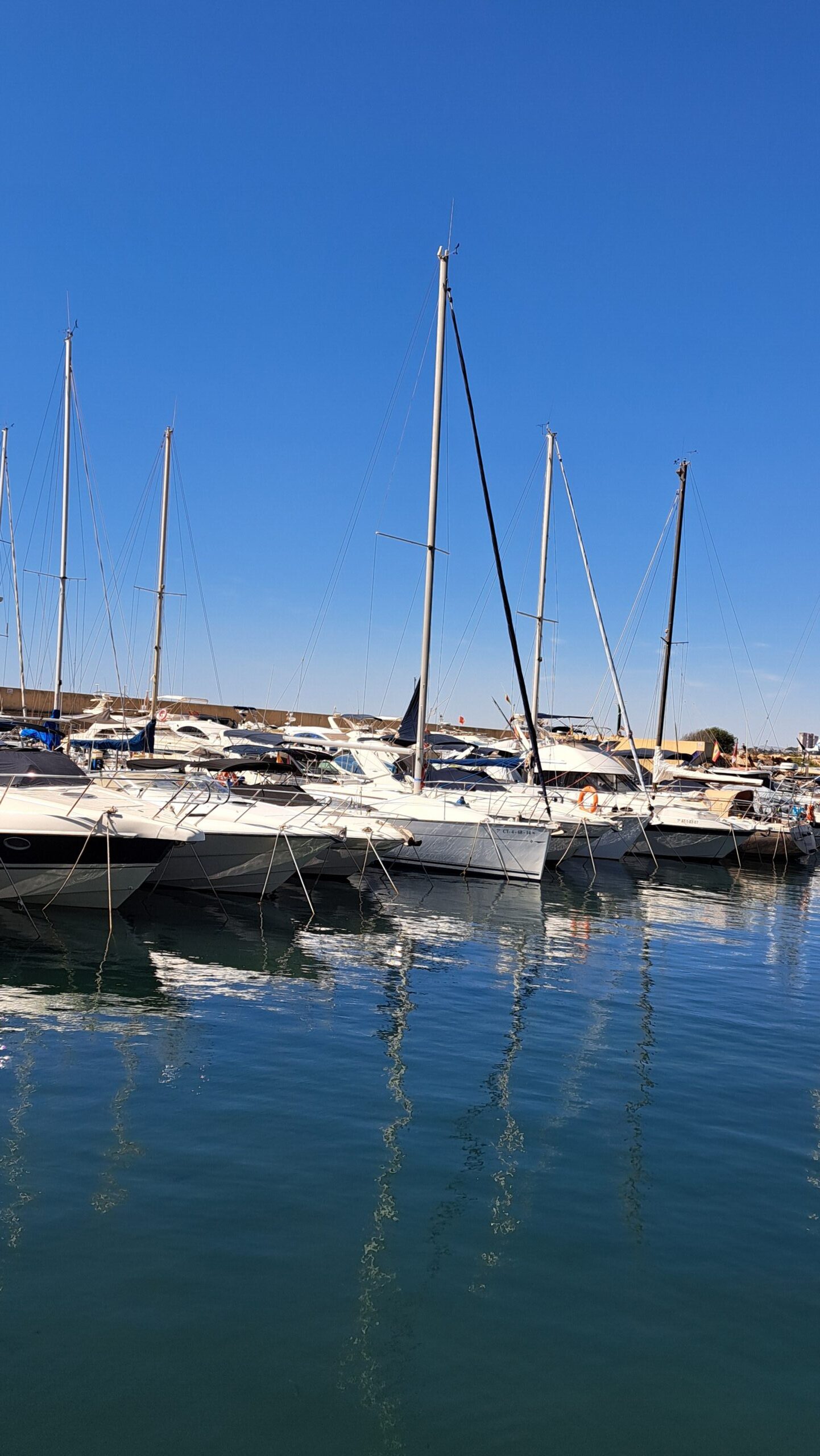 Haven Torrevieja